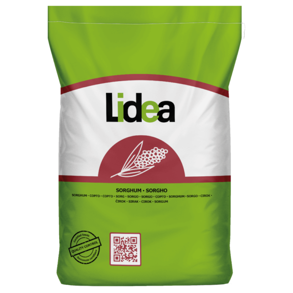 Sorgo kiszonkowe Lidea JASPE